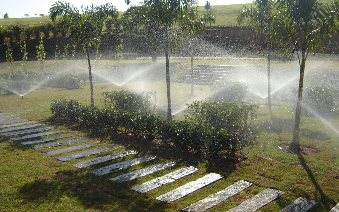 Irrigação automatizada valoriza jardins